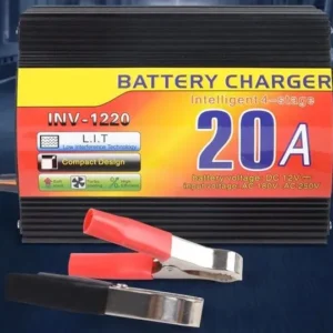 oval-charger-12V-20A